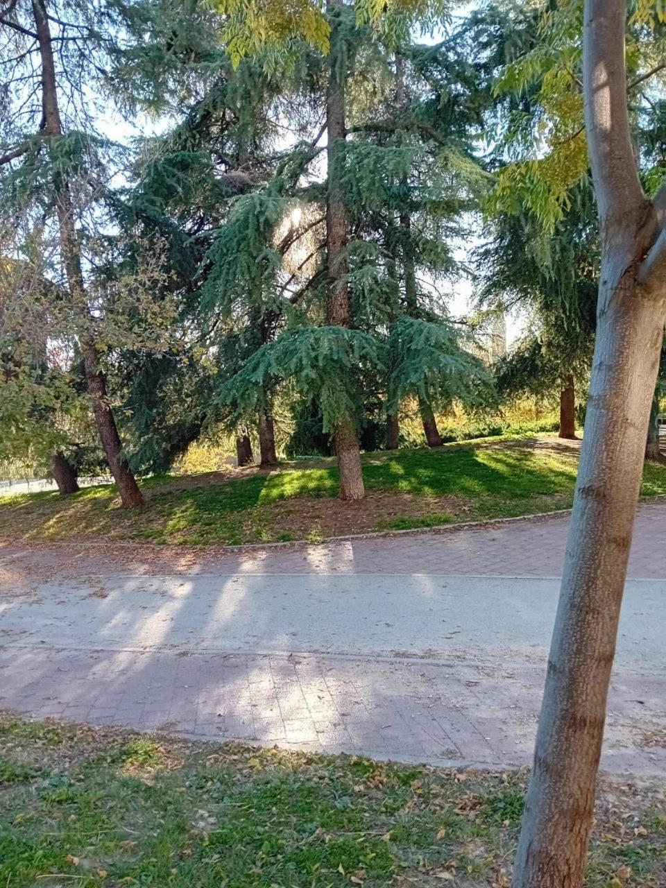 Smart Suite Мадрид Экстерьер фото